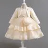 Puffy Dress for Girls Jacquard Pattern Tulle Patchwork Children Clothing 3D Appliques Casual Birthday Dresses Boutique Mélange Parfait