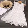Summer Lace Children Clothing Princess Kids Dresses for Girls Causal Wear Unicorn Dress 3 8 Years Girls Dress Vestido Robe Fille Boutique Mélange Parfait